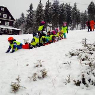 Šerlich 18.1.2020
